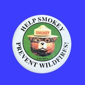 Vintage Smokey the Bear Button.